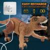 Gaitel Remote Control Dinosaur - Birthday Gifts for 5 6 7 8 9 10 11 12 Years Old Boys, Electronic Dinosaur Toy for Kids Ages 5-7 8-12, RC Walking Dino with Light, Roaring, Spray view 4