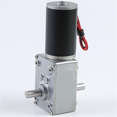 12v/24v DC Worm Gear Motor 5840-31ZY Double Output Shaft Adjustable Speed Can CW CCW Electric Motor(12RPM,12V only Motor)