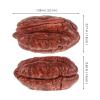 BESTonZON 30pcs Mini Peanut Kit Realistic Nut Model Decor for Creative Projects Photography Props and Home Decoration Cute Simulation Nuts for Playful Touch and Aesthetic Enhancement view 2