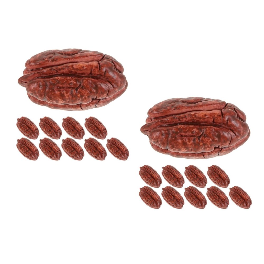 BESTonZON 20pcs Miniature Nut Simulation Toy Realistic Decorative Nuts for Crafts Kitchen Accessories and Mini House Food Displays for Creative Projects and Photo Props