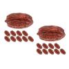 BESTonZON 20pcs Miniature Nut Simulation Toy Realistic Decorative Nuts for Crafts Kitchen Accessories and Mini House Food Displays for Creative Projects and Photo Props view 1