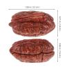 BESTonZON 20pcs Miniature Nut Simulation Toy Realistic Decorative Nuts for Crafts Kitchen Accessories and Mini House Food Displays for Creative Projects and Photo Props view 2
