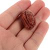 BESTonZON 20pcs Miniature Nut Simulation Toy Realistic Decorative Nuts for Crafts Kitchen Accessories and Mini House Food Displays for Creative Projects and Photo Props view 3