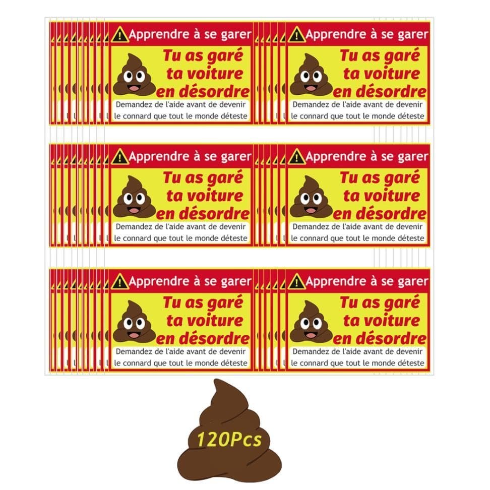 120pcs French Parking Violation Stickers Illegally Parked Decal 2x3 Inch Multi Reasons Parking Violation Label Funny Prank Its Time to Punish Parking Lot Idiots Gag Gift