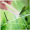 BESPORTBLE 8Pcs Plastic Tweezers for Boy Girl Fine Motor Skills Training Lightweight Tongs for Science Experiments Nature Observation Jewelry Crafting and Outdoor Learning Activities view 4