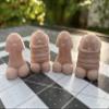 4pcs Tiny Pen,is Figurine, Pen,is 3D Mini Dick, Small Dick Figurine, Funny Perfect Prank Gag Gift, Bachelorette Party, Novelty Gift, Bag of Dicks, Novelty Gift in Custom Colors (Orange) view 1