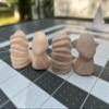 4pcs Tiny Pen,is Figurine, Pen,is 3D Mini Dick, Small Dick Figurine, Funny Perfect Prank Gag Gift, Bachelorette Party, Novelty Gift, Bag of Dicks, Novelty Gift in Custom Colors (Orange) view 4