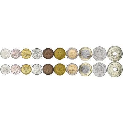 10 Different Novelty Coins with Reptiles and Amphibians - Iguanas Tortoises Glass Frogs Komodo Dragons - Rare Wildlife Fantasy Token Collection