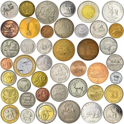 10 Different Novelty Coins with Mammals - Various Rodents Critters Pets Animals - Unique Diverse Wildlife Mixed Souvenir Token Lot Collection