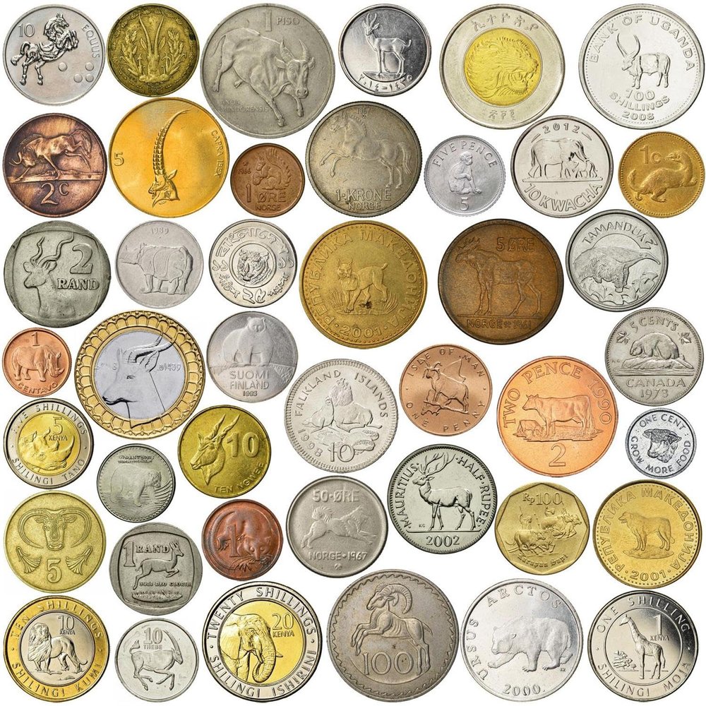 10 Different Novelty Coins with Mammals - Various Rodents Critters Pets Animals - Unique Diverse Wildlife Mixed Souvenir Token Lot Collection