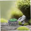 10pcs Tree Bases for Diorama Landscaping Micro Landscape Tree Base Christmas Scene Accessories Miniature Parterre Prop view 4