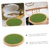 Alasum Display Base Figures Holder Artificial Grass Design Stable and Practical Stand for Living Room Desk and Bedroom Decor view 4