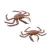 Abaodam 1Pc Realistic Plastic Crabs Model Educational Animals Ornament for Collectible Figurine for Learning and Play for Teachers and Enthusiasts view 1
