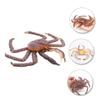 Abaodam 1Pc Realistic Plastic Crabs Model Educational Animals Ornament for Collectible Figurine for Learning and Play for Teachers and Enthusiasts view 3