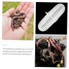 Hemoton 30pcs Rainworm Breeding Box Feeding Container for Breeding Observation Box for Growth Monitoring Compact for Easy Use view 3
