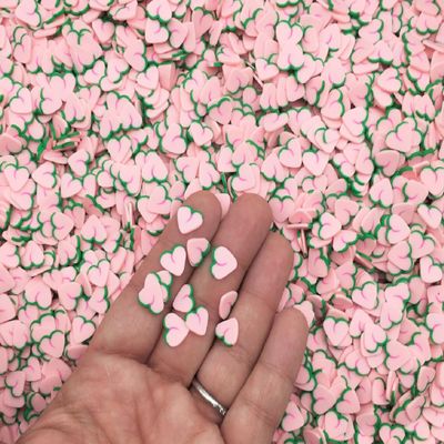 Large Pink Peach Polymer Clay Fruit Slices, Fake Fruit Sprinkles for Nail Art and Resin Crafts, Miniature Faux Food Embellishments - Non Edible (30 gram bag)
