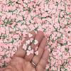 Large Pink Peach Polymer Clay Fruit Slices, Fake Fruit Sprinkles for Nail Art and Resin Crafts, Miniature Faux Food Embellishments - Non Edible (30 gram bag) view 1