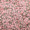 Large Pink Peach Polymer Clay Fruit Slices, Fake Fruit Sprinkles for Nail Art and Resin Crafts, Miniature Faux Food Embellishments - Non Edible (30 gram bag) view 2