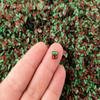 Cherry Polymer Clay Fruit Slices, Miniature Faux Food for Nail Art and Resin Crafts, Cute Fruit Slice Embellishments - Non Edible (15 gram bag) view 1