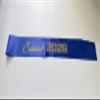 10 Pcs Senior Sashes Class of 2026 Gold Glitter Letter Celebration Competition Sash Graduation Party Supplies Blue view 4