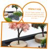Abaodam Zen Garden Kit for Desk Meditation Sandbox with Sand and Rake Decorative Indoor Garden for Tranquility and Stress Relief for Office and Home Decor view 4