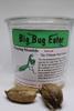 3 -Chinese Praying Mantis Egg Pods - Medium Size Pods - New Crop - Aprox 20 to 500 hatchlings per pod. view 3