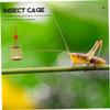 FONDOTIN Bamboo Cage Portable Container Smooth Surface for Storing and Carrying Insects view 3