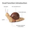 Tsiodot RC Snail Toy Realistic IR Remote Control Insect Car Vehicle Electric Animal Toy for Kids Birthday view 2