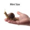 Tsiodot RC Snail Toy Realistic IR Remote Control Insect Car Vehicle Electric Animal Toy for Kids Birthday view 3