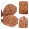 BESPORTBLE 10pcs Faux Almonds Decorative Nuts Food Model Props Home Event Decorations view 4
