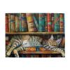 Cafemira Wooden Jigsaw Puzzle 500 Pcs for Adult,Cat Sleeps On The Bookshelf,Hands On Assembly of Your Home Decor Wall Art,Relieve Stress and Enjoy The Fun of Solving Puzzles,Gift for Pet Lovers view 1