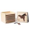 Premium Montessori Animal Puzzle Cabinet with 6 Puzzles 15" Horse Fish Turtle Bird Frog Ant Wooden Zoology Biology Materials for Kids, Educational Toys for Kids Toddler Classroom Homeschool Learning view 3