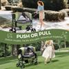 Stroller Wagon for 2 Kids with Canopy, Foldable All-Terrain Wagon Stroller with Adjustable Push/Pull Handle, Parent Organizer, 5-Point Harness, Ideal for Travel & Outdoor Adventures, Meadow Green view 3