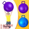 Lewtemi 2 Pcs 31 Inch Big Bouncing Ball with Handle Jumping Hopper Bouncy Ball for Adults Exercise and Air Pump for Outdoor Sports Game(Blue, Purple) view 4