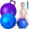 Lewtemi 2 Pcs 18 Inch Big Bouncing Ball with Handle Jumping Hopper Bouncy Ball for Adults Exercise and Air Pump for Outdoor Sports Game(Blue, Purple) view 1