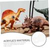 BESPORTBLE 40pcs Sheets Acrylic Miniature Bases Round Doll Display Stands for DIY Crafts for Tabletop War Games and Personalizable view 3