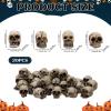 20 Pack Mini Halloween Skull, Miniature Resin Figurines Skulls Heads Ornamets, Halloween Prank Props, Realistic Looking Skulls Human Skeleton Head for Halloween Bar Home Table Decoration view 3