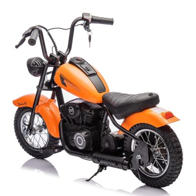 24V 250W Kids Electric Dirt Bike - Electric Motorcycle with 2 Speed Up to 14 MPH, 60 Min Ride Time, LED Light, Off-Road Dirt Bike for Boys & Girls Ages 5-8