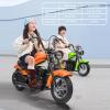 24V 250W Kids Electric Dirt Bike - Electric Motorcycle with 2 Speed Up to 14 MPH, 60 Min Ride Time, LED Light, Off-Road Dirt Bike for Boys & Girls Ages 5-8 view 3