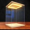 Xyrona Display Case Tall Acrylic Boxes with Led Light, 6" 8" 10" 12" 14" 16" 20" 24" Display Case for Collectibles, Plastic Cube Storage Bins with Door(L15xW20xH25cm/6x8x10) view 1