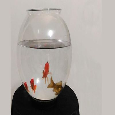 Appearing Fish in Bowl by Sorcier Magic