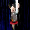 Appearing Fish in Bowl by Sorcier Magic view 3