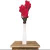 Dream Rose by JL Magic - Trick view 2