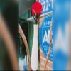 Dream Rose by JL Magic - Trick view 3