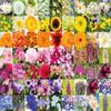 1000 Piece Flower Jigsaw Puzzle  Colourful Floral Collage with Lilies, Irises & Sunflowers  Blooming Beautiful Puzzle for Adults & Teens view 2