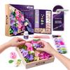 Air Dry Clay | Art Kit Inspiration | Succulents Art Set 3D for Home Wall Decor | Craft its for Adults and Teen | Craft Box with Modeling Clay for Succulents Fun Stuff Hobby its Succulent DIY its view 2