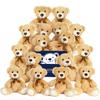 16 Pcs Teddy Bears Bulk Baby Shower, 13.7 inch Small Teddy Bear Stuffed Animal Toys for Christmas Valentine's Mother's Day Centerpieces Decorations for Kids Adults, Light Brown view 1