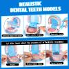 Dentist Playset for Boys with Oversized Pretend Teeth /Removable Teeth /Braces /Retainer - Kids Doctors Play Set - Teeth Model for Teaching - Role Play Toys for Kids 4-6 (Blue) view 3