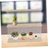 HIAKDOFT Acrylic Doll Display Case Dustproof Design Storage Box for Toy Figures and Collectibles UV Protected Showcase for Toy Exhibition view 2