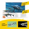 PNSO Prehistoric Dinosaur Models:90 Youran The Guizhouichthyosaurus view 3